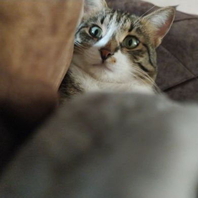 umma1699902663 Profile Picture