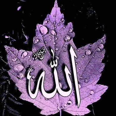 Saalim Ahmad Profile Picture