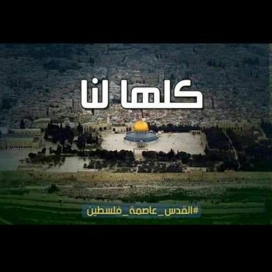 محمد الشريف