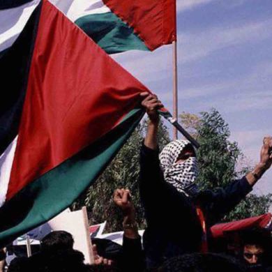 Umi Ashura Profile Picture