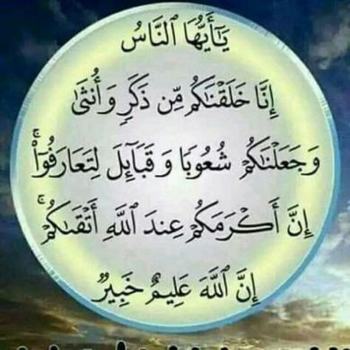 muridu shamil Profile Picture