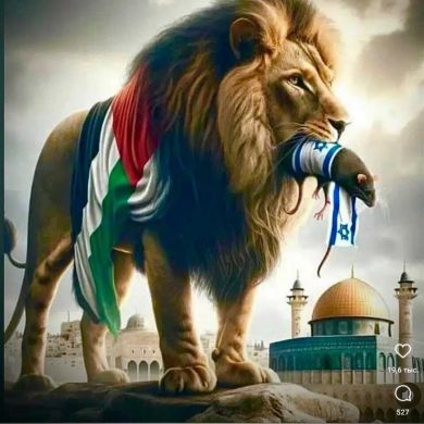 ином дадобоев