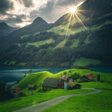 Islom_Shams Profile Picture