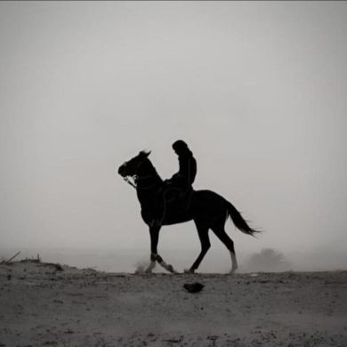 AbdullohTohir profile picture