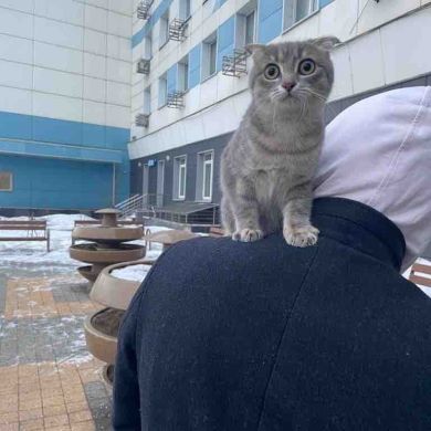 Muhammad Ibn Ahmad Profile Picture