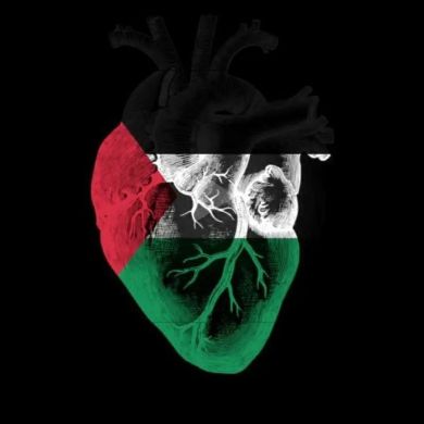 KRR IIAU Profile Picture