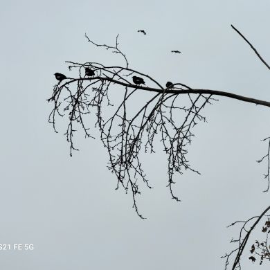 Saida Said Profile Picture