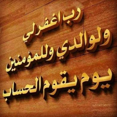 IBNUSEID profile picture