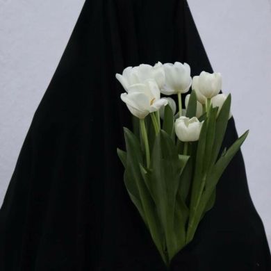 Jamila Abdukarimova Profile Picture