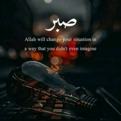 Mustefa shifa Profile Picture