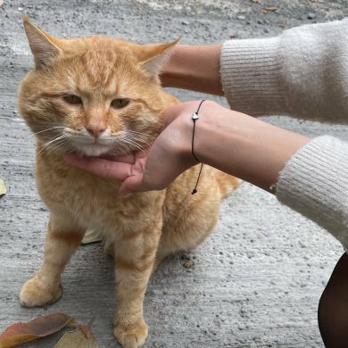 rasulovna Profile Picture