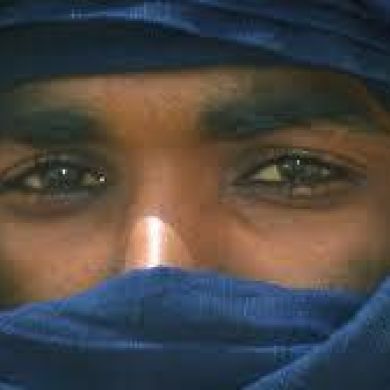 Iskander Stepanchenko Profile Picture