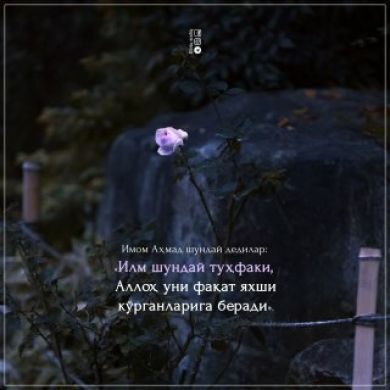 Gulnozaxon Nizomiddinova Profile Picture