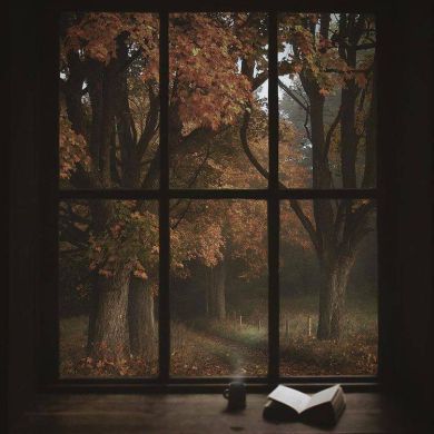 bintu Hosil Profile Picture