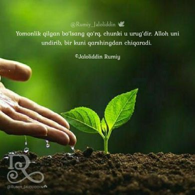 Zulfiya Xaitova Profile Picture