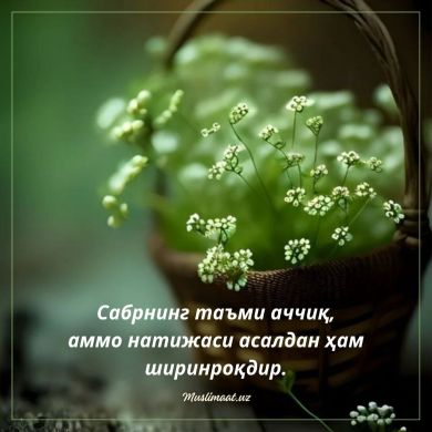 Iroda  Mirgʻaniyeva