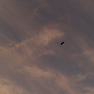 Sardorbek Bakhromov Profile Picture