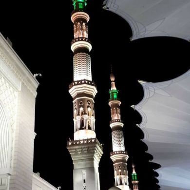 ت ت Profile Picture