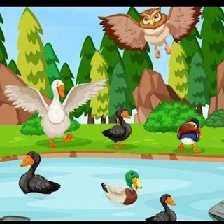 Telegram: Contact @multiki2024