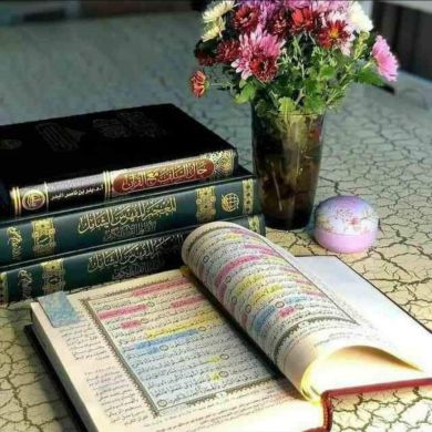 Qilich Allayarov Profile Picture