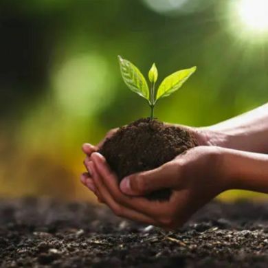 Ravshan Hasan Profile Picture