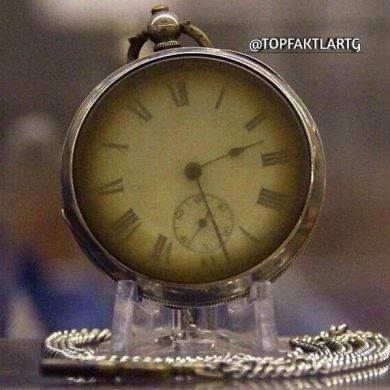 Eldorbek Yulchi Profile Picture