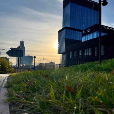 alilife Profile Picture