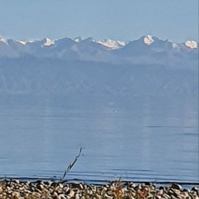 أمينه أم منيرون