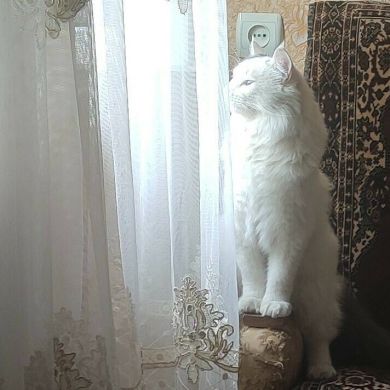 Saidakrom Asrorxojay