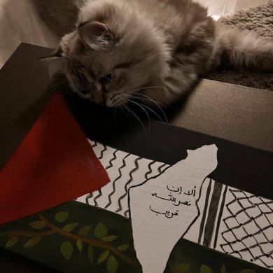 akramova2812 Profile Picture