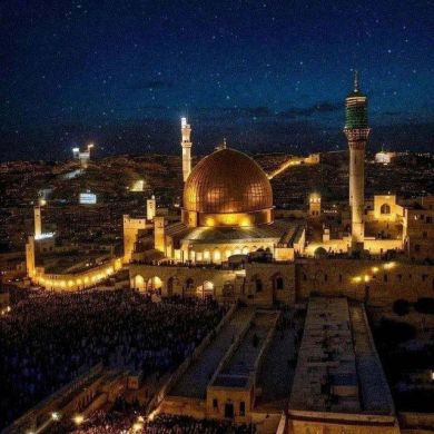 Mohigul Habib Profile Picture