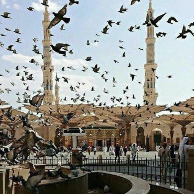 Madina Tojinova Profile Picture