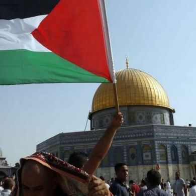 Rabia Rafikova Profile Picture