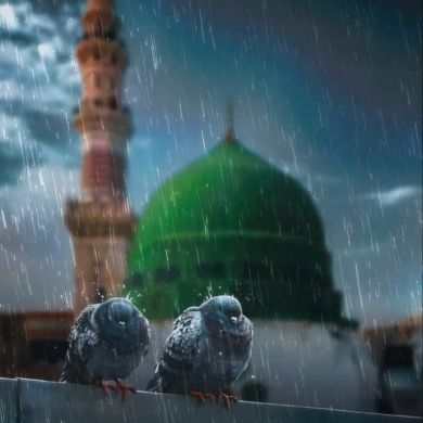 HadiyjaBintuAli Profile Picture