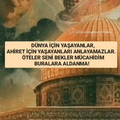 Dinmuhammad Yunusaliev Profile Picture