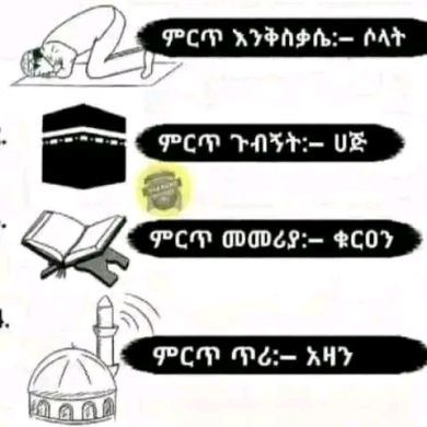 muhamedyasin usman Profile Picture