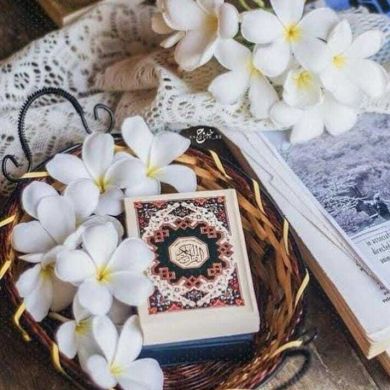 Hesham Mahmoud Profile Picture