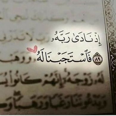 شر يان Profile Picture