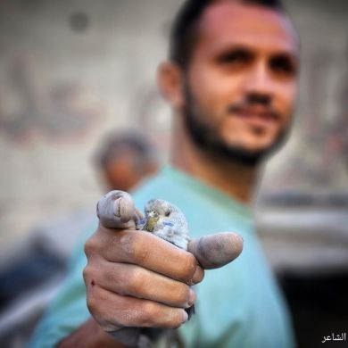 Nizomxuja mamatxujae