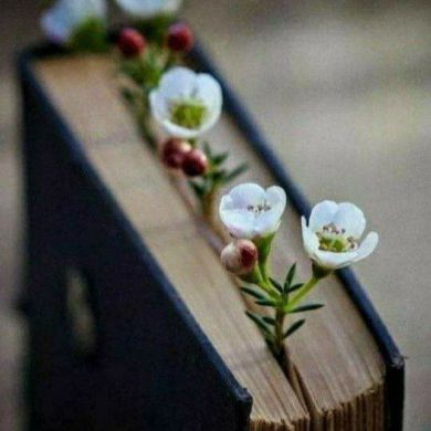 Умида Хон Profile Picture