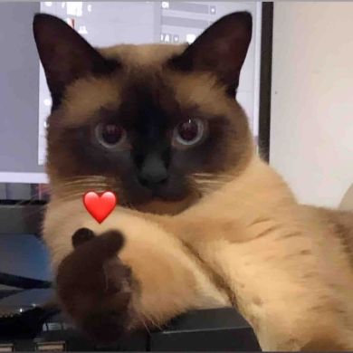 MDH Fofo Profile Picture