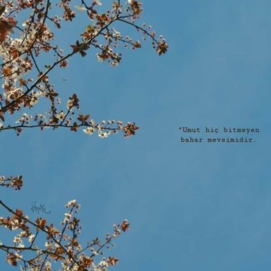 umma1700304460 Profile Picture