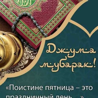 Талгат Нургалиев profile picture