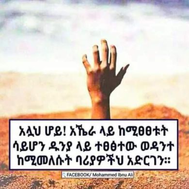 mehbuba jemal Profile Picture