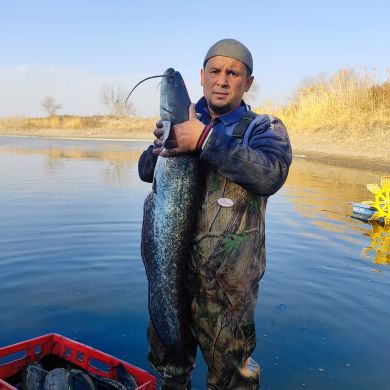 Umidbek Djumaniyazov