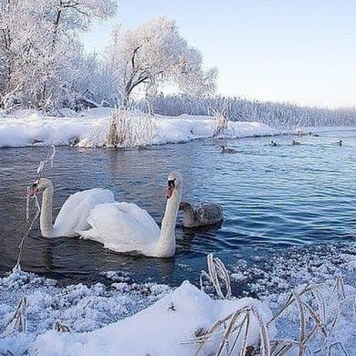 Xosiyat  Abdullayeva