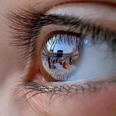 abdu kemal Profile Picture