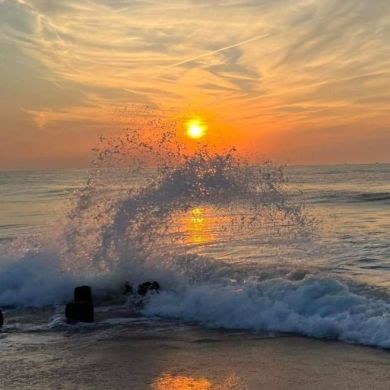 Mesut Mulat Profile Picture