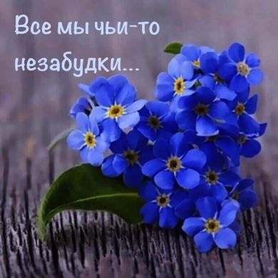 Madina Elmurzaeva Profile Picture