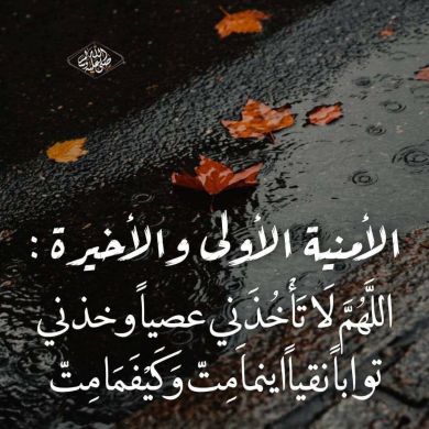 ABDOU IMAD Profile Picture